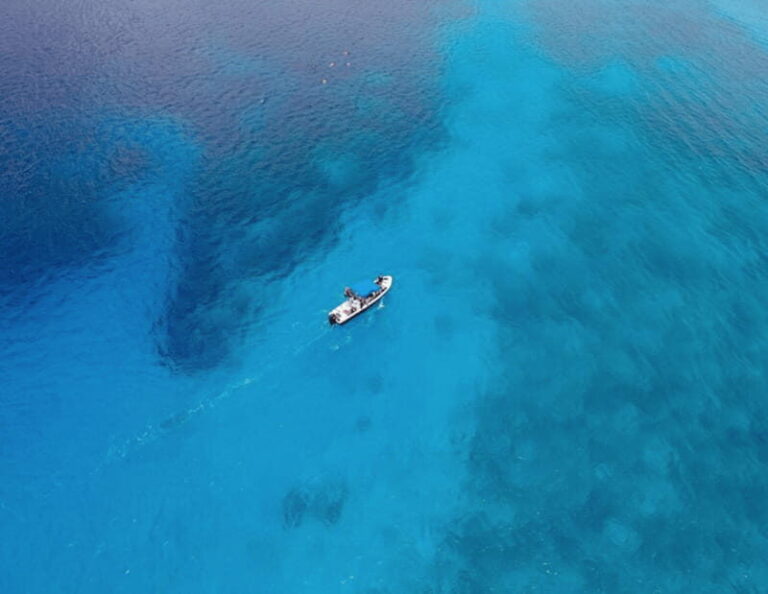 Playa: Dive in Cozumel - The Dive Experience