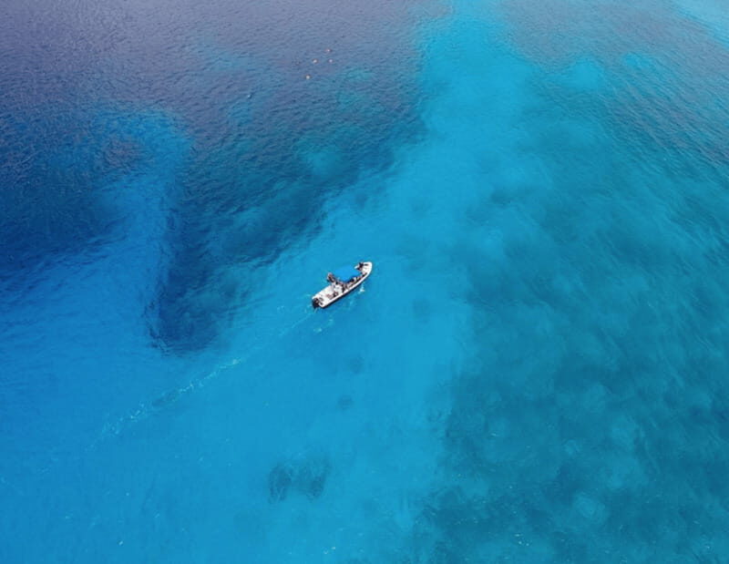 Playa: Dive in Cozumel - The Dive Experience