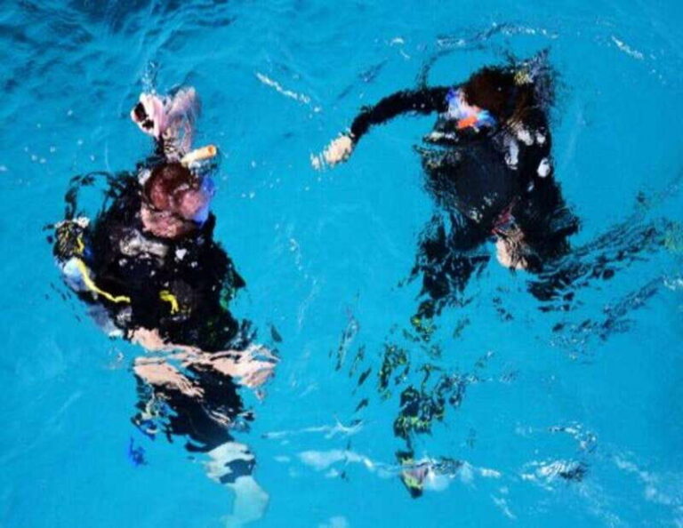 Playa: PADI Scuba Diver - Overview of the PADI Scuba Diver Experience