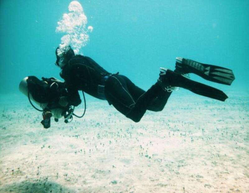 Playa: Rescue Diver - Who Should Consider This Course?