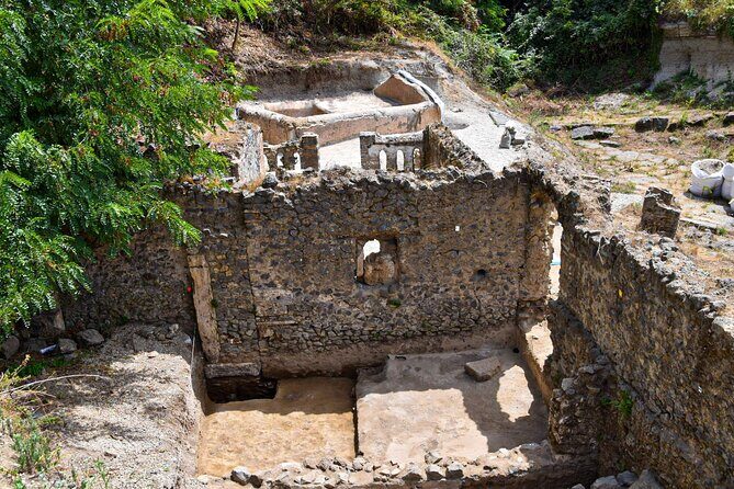 Pompeii Guided Tour & Lunch with Tasting at Two Vesuvian Wineries - Final Thoughts