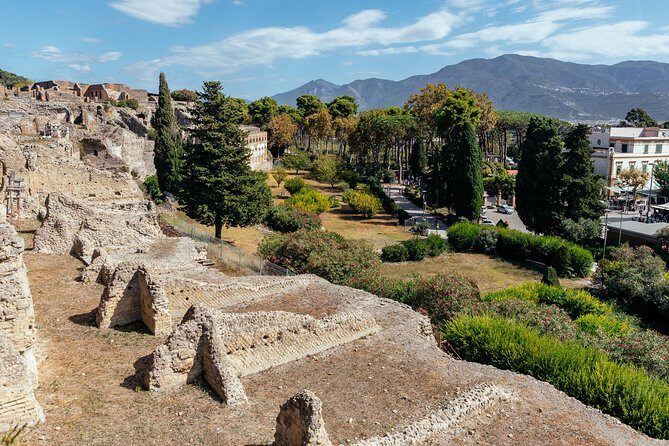 Pompeii PRIVATE TOUR With Locals: Ticket & Guide Included - FAQs