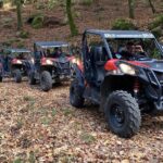 Ponte de Lima Guided Buggy Tour - Analyzing the Value
