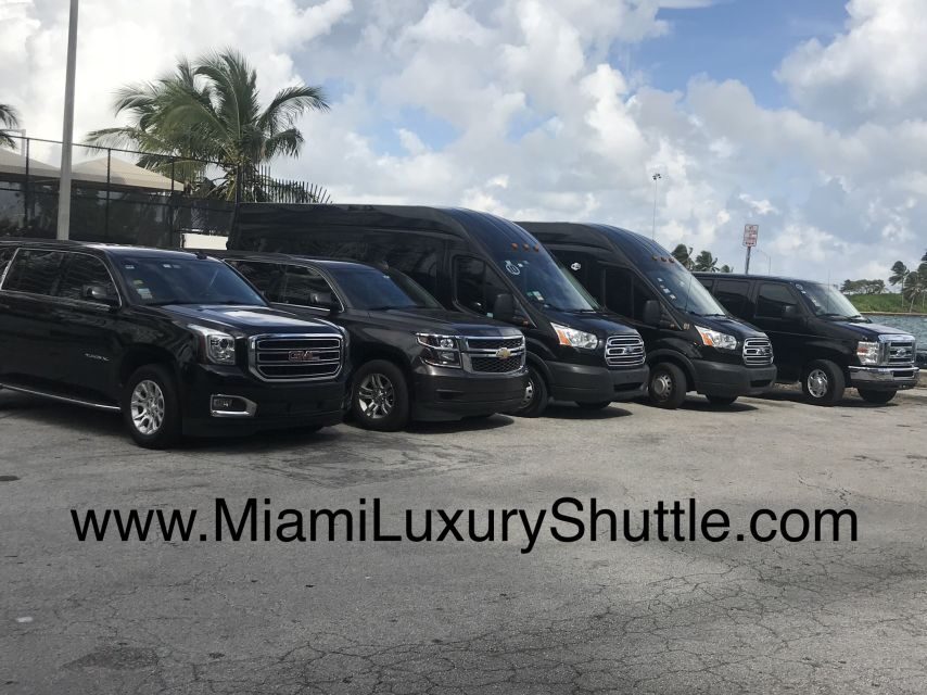 Port of Miami Shuttle to Miami Airport or Hotel in Miami - What to Expect from the Experience