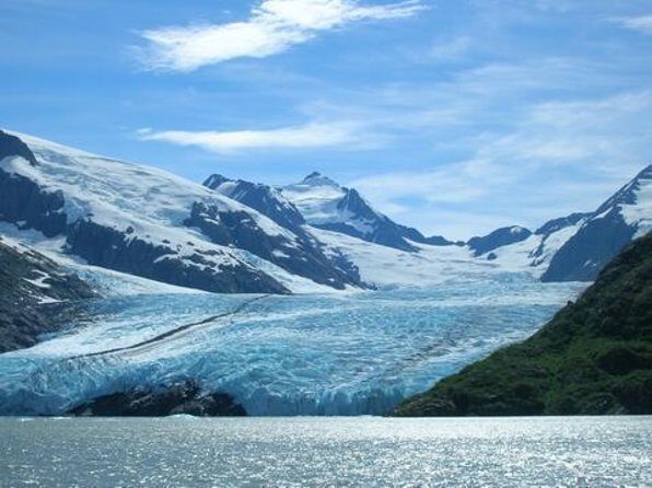 Portage Glacier Cruise and Wildlife Explorer Tour - The Experience in Detail: What to Expect