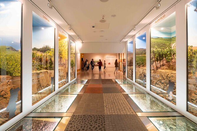 Porto: Wine Experience Musem with 3 Wine Tastings - The Value for Money