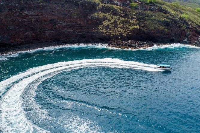 Premium Kona Coast Morning Snorkel - What We Appreciate About This Tour