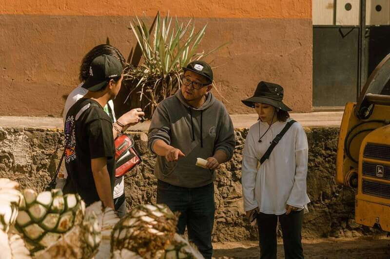 Private Adventure to Tequila and el Cascahuin Distillery - Who Will Love This Tour?