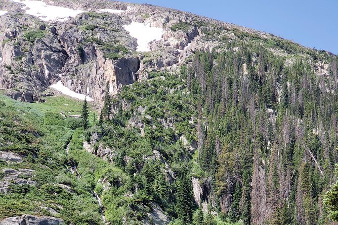 Private and Personalized Three Hour Morning Tour of Rocky Mountain National Park - The Cost and Its Worth