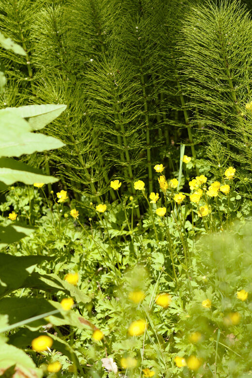 Private Bainbridge Island Discovery Tour - An In-Depth Look at the Bainbridge Island Discovery Tour