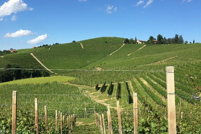 Private Barolo / Barbaresco - Piedmont Wine Tours and Tastings - The Itinerary in Detail