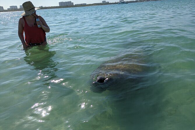 Private Boat Day Tour In Sarasota - Lido Beach