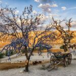 Private Cappadocia Tour with Underground City (Guide & Driver) - Authentic Experiences and Insights from Reviewers