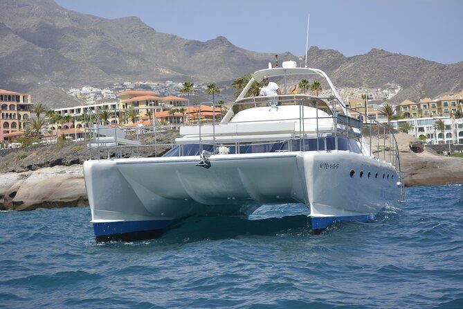 Private Catamaran Charter with Transfer, Buffet and Snorkeling - Wildlife Encounters: Dolphins, Turtles, and Whales