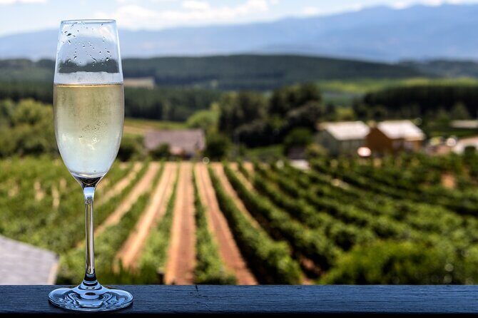 Private Champagne Day Trip to Vineyards of Reims with French Lunch from Paris - What This Tour Means for You