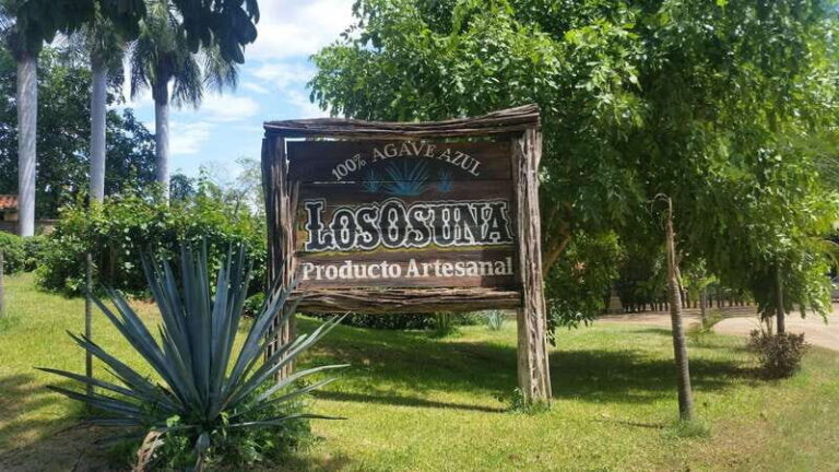 Private Colonial Tour Tequila and the Noria - What You Need to Know Before Booking
