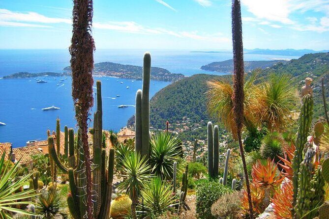 Private Customized French Riviera Tour from Port Villefranche 8H - Pricing and Value