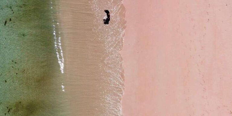 Private day tour to pink beach-sand island-gili petelu - Introduction to the Experience