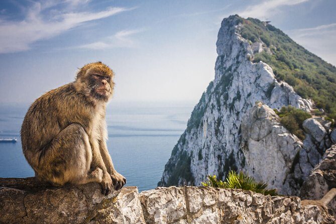 *Private Day Trip* Gibraltar and Vejer from Cádiz - What Makes This Tour Stand Out