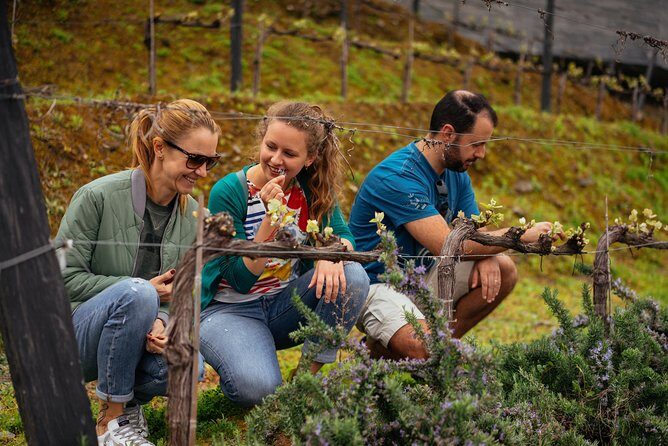 PRIVATE Day Trip Through Enchanting Douro Valley by Car & Boat - Who Is This Tour Best Suited For?