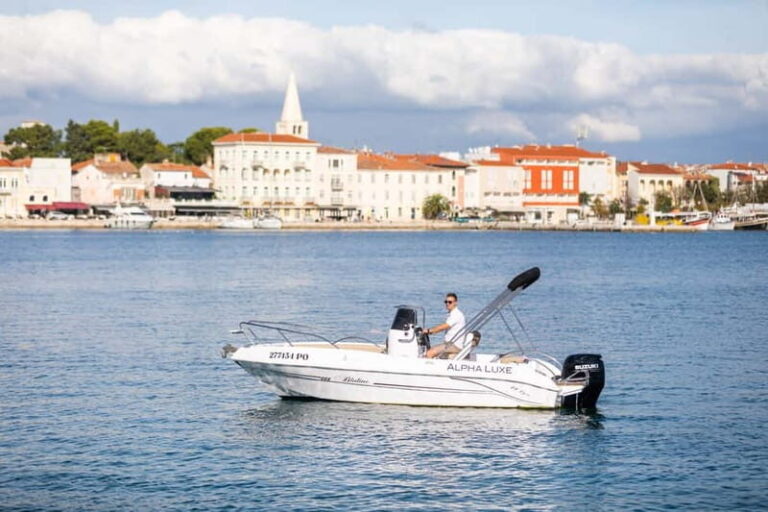 Private Family Dolphin Tour in Pore - Why This Tour Offers Good Value