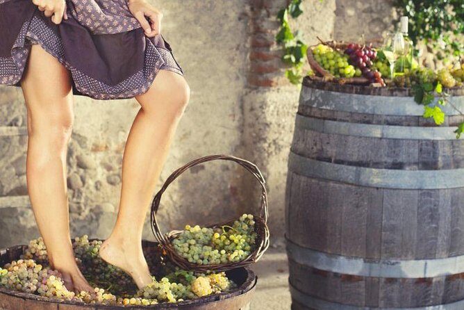 Private Grape stomping at Chianti Farmhouse - Who Should Book This Tour?