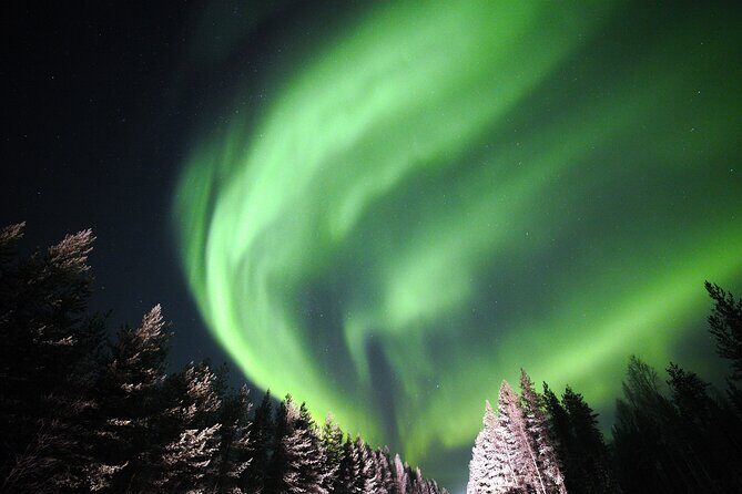 Private Group: Northern Lights Hunt 4x4 SUV with Aurora guarantee - Exploring the Experience in Depth