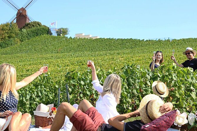 Private Guided Tour in Champagne from Paris with Moet&Chandon visit. - Potential Considerations