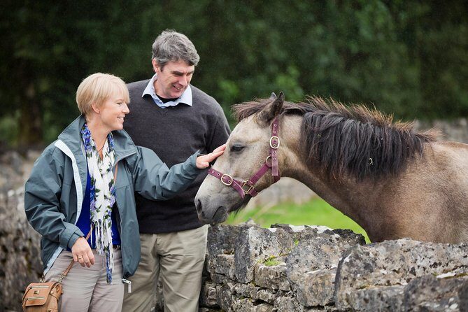 Private Half Day Tour To Connemara - Exploring the Scenic Route: What the Tour Looks Like