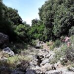 PRIVATE Hiking Walking GORGE nearby Hersonissos CRETE - Why This Tour Works