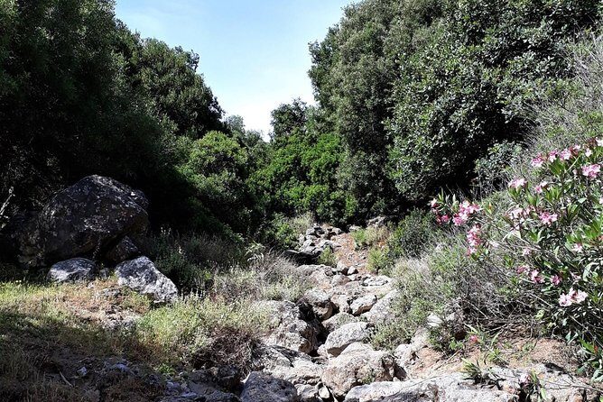 PRIVATE Hiking Walking GORGE nearby Hersonissos CRETE - Why This Tour Works