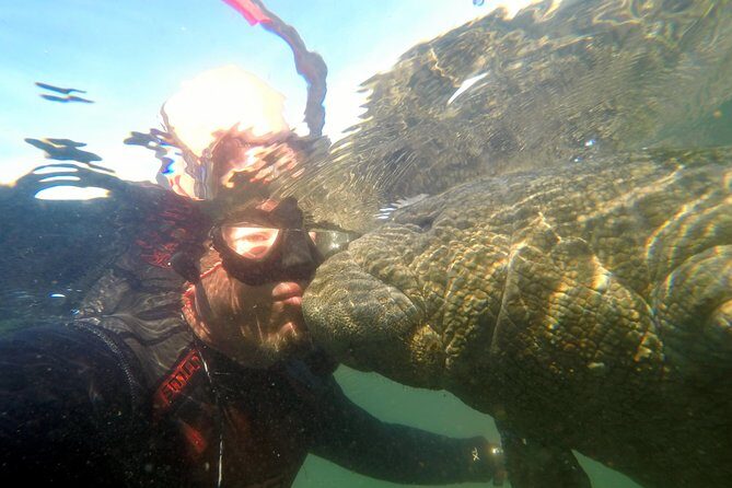 Private Manatee Swim for up to 6 with In-Water Divemaster/Photographer - What to Expect on Your Day