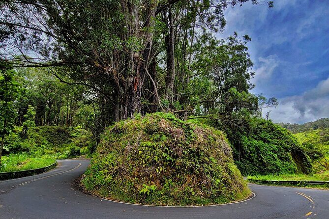 Private Maui Redwood Hiking Experience - Final Thoughts