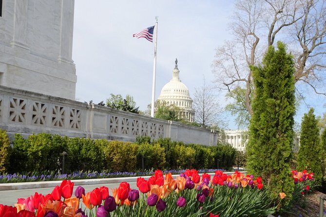 Private Multilingual DC City Tour (Spanish, Portuguese, English) - Practical Details You Should Know
