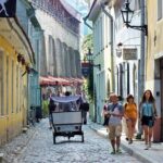 Private Shore Excursion: Tallinn Old Town Walking Tour with Round-Trip Transfer - Potential Drawbacks or Considerations