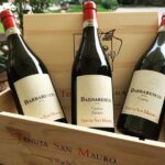Private Tasting Barbaresco Experience with Typical Products - A Closer Look at the Tour