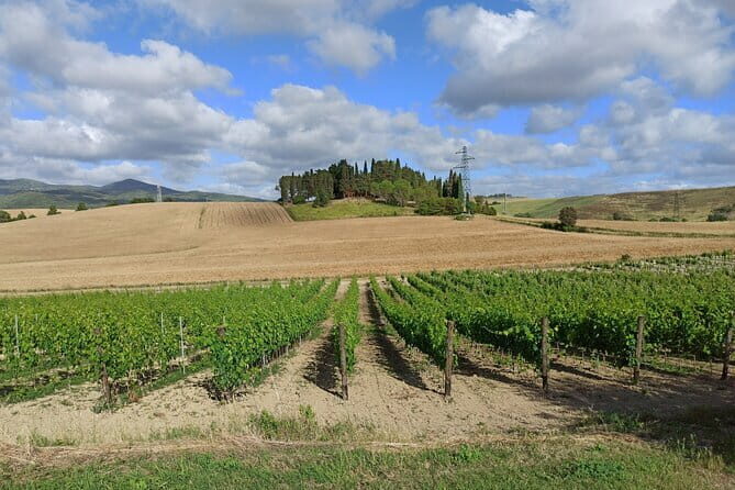 PRIVATE TOUR: Chianti Afternoon tour with visit to 2 wine farms - FAQ