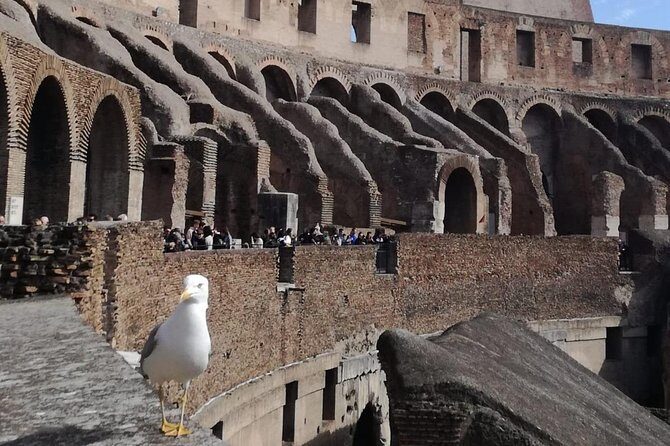 Private tour of Colosseo - The Tour Itinerary in Detail