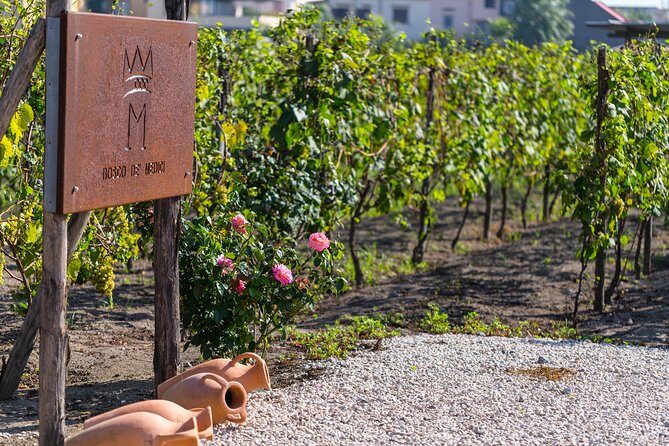 Private tour of Pompeii Ruins, Organic Wine tasting and Lunch - Wine and Lunch Tasting: A Hearty Italian Experience
