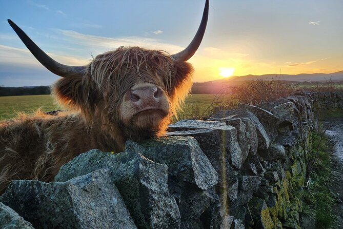 Private Tour of the Scottish Highlands from Edinburgh - Why This Tour Offers Great Value