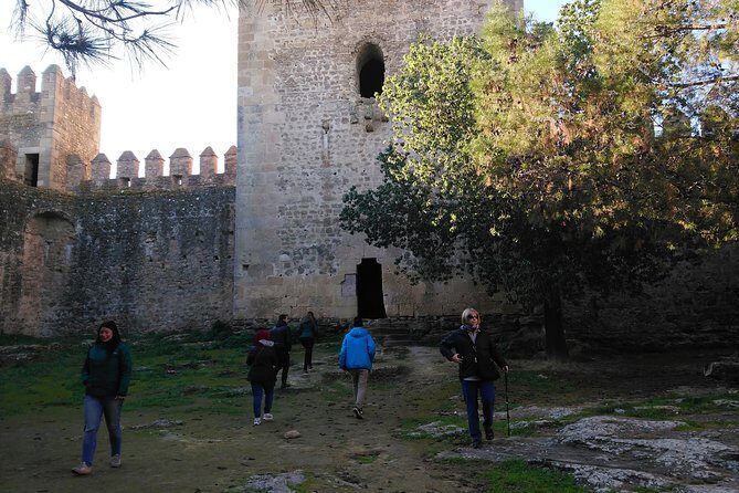 Private Tour Ronda and White Villages from Seville - A Detailed Look at the Tour Experience