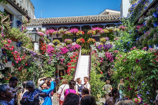 Private tour to Córdoba from Seville (several options) - First Stop: The Historic Center & Medieval Fortress