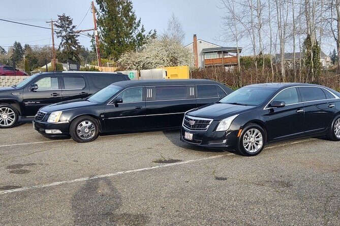 Private Transfer from Tampa Bay Cruise Port to Tampa hotels - What to Expect During Your Transport