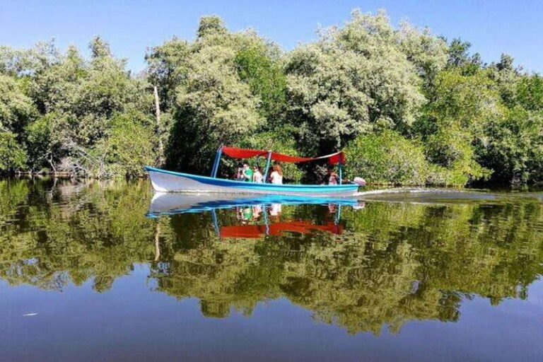 -Private Turtle Release Lagoon Boat Ride &High Divers Exprce - Introduction to the Tour