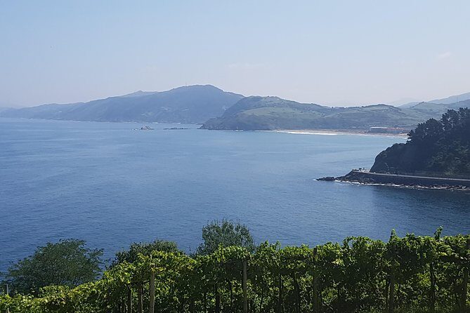 Private Txakoli Wine Tour through the Coast from San Sebastian - A Closer Look at the Itinerary