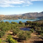 Private White Villages & Ronda Day Tour from Seville - Optional Hike: Sendero La Garganta Verde