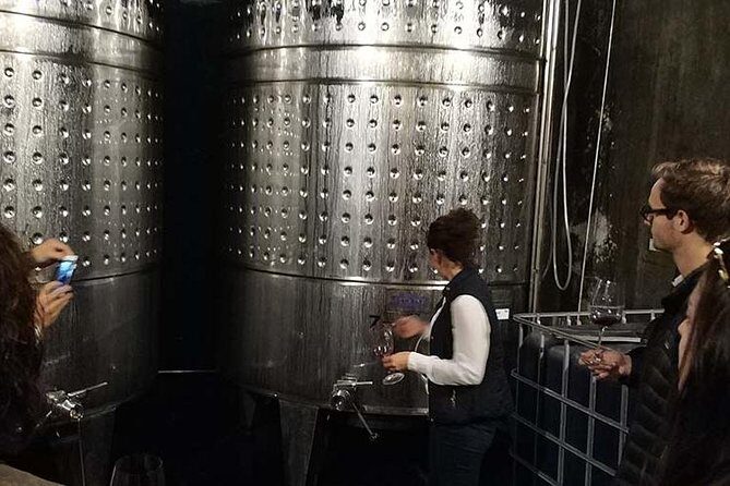 Private Wine & Cava Tasting Tour In Penedes with hotel pick up - First Stop: Avinyonet del Penedès