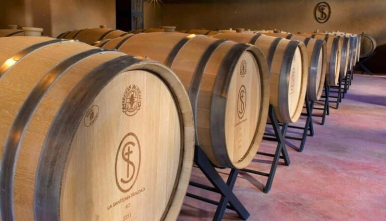 Private Wine Tour from Guanajuato City - What to Expect: A Day Filled with Charm and Flavor