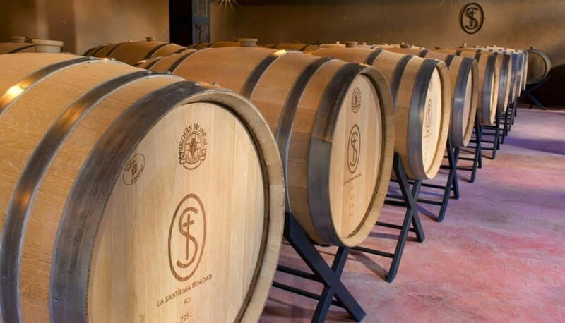Private Wine Tour from Guanajuato City - What to Expect: A Day Filled with Charm and Flavor