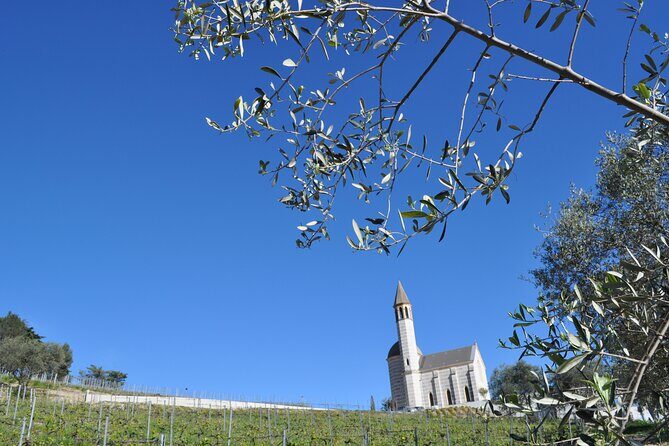 Private Wine Tour of the vineyards on the French Riviera - Authentic Experiences: What Travelers Say